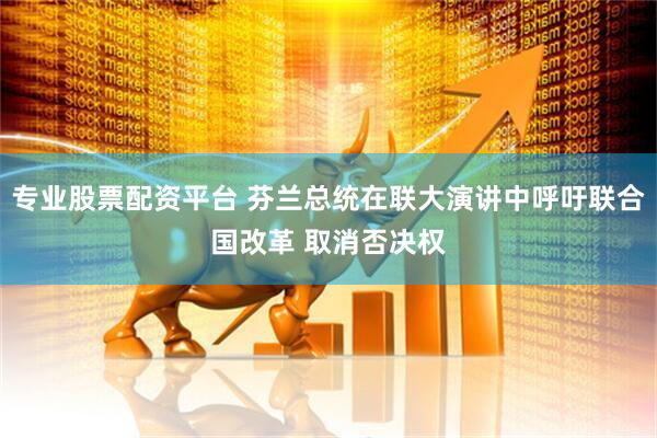 专业股票配资平台 芬兰总统在联大演讲中呼吁联合国改革 取消否决权